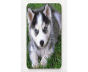 love siberian husky puppy dog mousepad r385a01a99eec4a079e3a38fed3f6a809 x74vk 8byvr 630 jpgview padding28502850 from vk siberian mouse