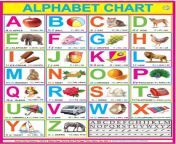 alphabet chart laminated 28 inch x 40 inch rolled ncpabc3040 original imaegq9jyfrwctam jpegq70 from abcd poster