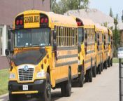 halton school buses 1030x438.jpg from school bus com