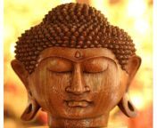 desi buddha head bust.jpg from desi budha s