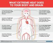 what happens to your body 729c8eea647cc7915cb8679932950aea from hot much