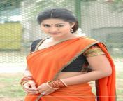 23 234856 tamil actress sneha wallpapers sneha south indian actress.jpg from tamil actress sneha praxxx বাংলা দেশের যà