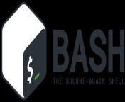 logo dark bash shell 1024x444.png from bash com