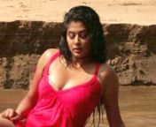 x1080 from kannada actress priyamani sex video sex xxxx mp4angla movea
