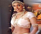 roja2 jpgw584 from tamil actress roja real sexes in saree h