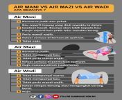 air mani vs air wadi vs air mazi 480x720.jpg from amarica pancut air mazi