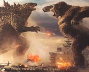 godzilla vs kong hindi dubbed version leaked by tamilrockers jpgimpolicymedium widthonlyw412h290 from rockers movie godzilla picture film tiger action film action full movie
