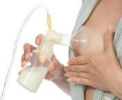 adults drinking breast milk for health copy 1 jpgwidth700quality95 from boobs milk drinking