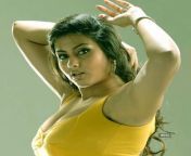 thumb cmsmsid23089613width750resizemode4 from rap small actress namitha kapoor blue film free download x