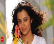 photo.jpg from telugu actress trisha krishnan nangi fake