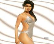 priyanka chopras hot bikini photos.jpg from www kannada orion priyanka sex