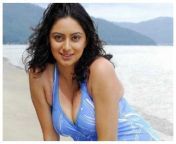 67710560 cms from marathi actress shruti marathe boobs and