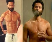 68851065 cms from shahid kapoor penis photo of xxx