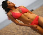 15941114 cmsimgsize144830 from sai tamhankar latest hot sexy bikini photos marathi actress hot photos jpg