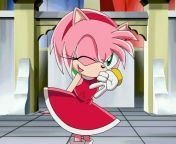 640cb20120117170951 from amy rose sonic x