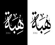 arabic calligraphy name translated hiba arabic letters alphabet font lettering islamic logo illustration vector.jpg from arabic hiba