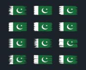 pakistan flag brush collections national flag vector.jpg from smallpakistan video page 1