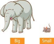 opposite adjectives words with big and small free vector.jpg from smal and big