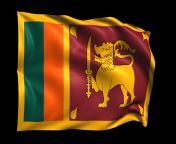 sri lanka waving flag realistic transparent background free.png.png from ssri lankan