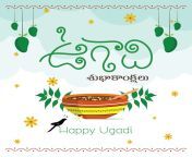indian regional telugu new year festival ugadi wishes in telugu and english decorated with festive elements vector.jpg from 16yer telugu