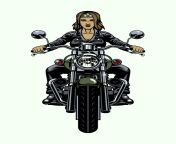 lady biker riding old motorcycle in front view angle vector.jpg from lady biker