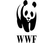 wwf logo 1986.jpg from wwf s