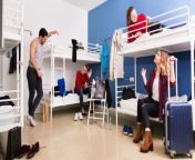 group of people in a comfy hostel.jpg from fun on hostel
