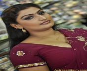 actressalbum com nellai santhippu movie 31.jpg from indian mallu babilona download video