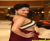 actressalbum com tamil actress pooja kumar stills in sleeveless maroon saree 4.jpg from sexy video pooja kumari