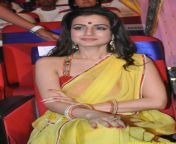 actressalbum com amisha patel hot stills in yellow saree 2 768x1156.jpg from amisha patel in saree www 143fun blogspot com 2 jpg