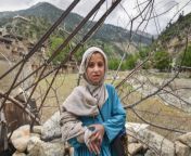 afghan girl 1024x683.jpg from pakistan pashto village