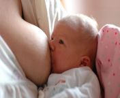 whats in breast milk.jpg from milk boobs feed