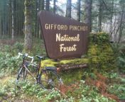 gifford pinchot national forest.jpg from nadia naim kelly mareen