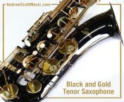 1429496086 masterpiece black gold tenor sax gallery.jpg from sax blak bp
