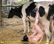 813.jpg from sex xxx coww
