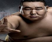 actor asashoryu akinori 18369 large jpg1578289962 from actor sumo