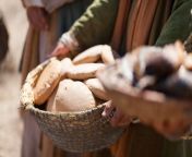 miracles of jesus feeding 5000 bread jpeg from man feeding brea