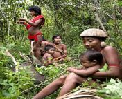 family in forest@lq min.jpg from jungle adivasi forced