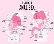 guide20to20anal20sex.jpg from and anal sexy