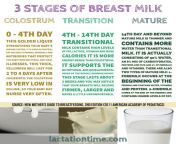 5e970680875f7b1ce70d5931 5d778ffee4bf9412d64c4189 3 stages breastmilk lacation com jpeg from breast milk lactation