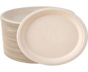 disposable plastic wedding dinner plate.jpg from htcl