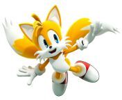 tails 1536x1196.jpg from tails2 jpg