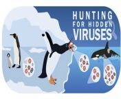 hunting viruses varsani virologist jpgitokuop9v3tg from 5 varsani can village sex clear hindi audio