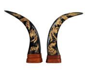 13 jpgitok6ibf r5a from asian horn style