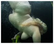 theravestijngallery mariken wessels nude water and green leaves v 2018.jpg from nude on water