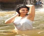 10ce7 00001111kamna jethmalani hot pics 0808131101 038.jpg from tamil actress kamna jethmalani xxx kamna jethmalani hot and sexy nude pics without clothes bra ano bispak xx