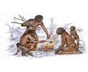 purba hominid renecanales dalam jpgw600q90 from purba sex