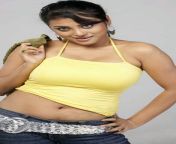 south indian glamour actress meenakshi 021.jpg from tamil actres navel tel malish fokig xxx video com