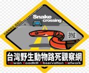 kisspng roadkill logo taiwan brand organization roadkill 5b36c411c264a9 5035914315303157937962.jpg from xxxxکوس ‏icstorage org nudencest 3d roadkill shot