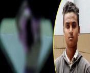 man arrested for capturing nude video 2002251236.jpg from গোপন ক্যামেরায় মেয়েদের গোসল করার ভিডিওww dewasi x video